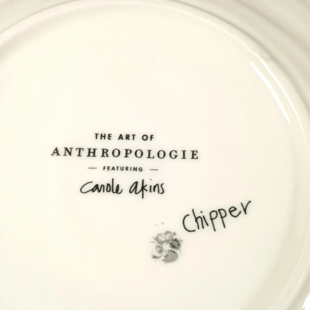 Anthropologie 8